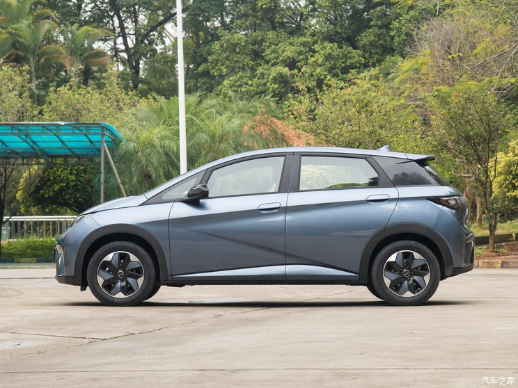 比亚迪 海豚 2024款 冠军版 420km 自由版 比亚迪 海豚 2024款 冠军版 420km 自由版