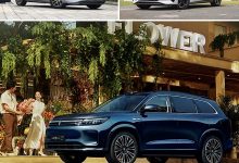 比亚迪秦L等 本周将上市/首发新车前瞻-深圳汽车网