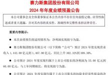 赛力斯2024年净利润转正 预计净利润达60亿 会有更多增程车推出-深圳汽车网