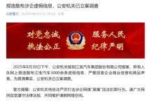 江淮汽车称有人捏造散布3000余条虚假信息 公安机关已立案调查-深圳汽车网